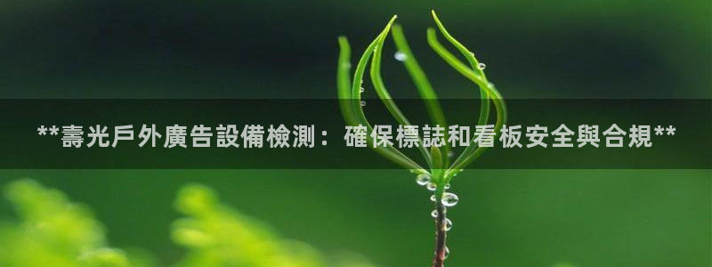 杏宇平台代理多少钱一个月：**壽光戶外廣告設備檢測：確保標誌和看板安全與合規**