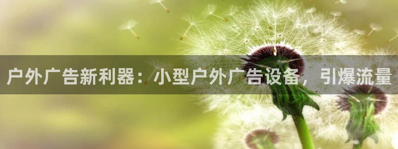 杏宇平台代理怎么样啊