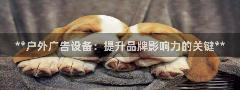 杏宇平台注册登录：**户外广告设备：提升品牌影响力的关键**