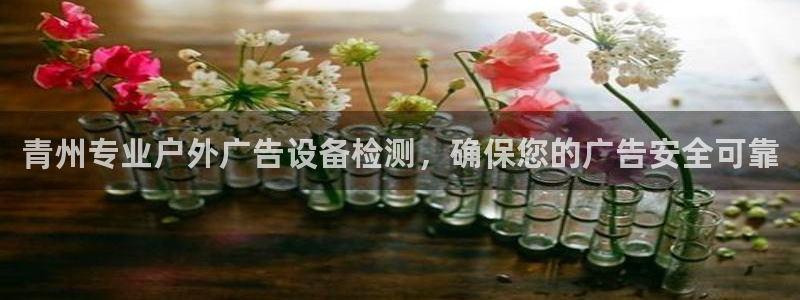 杏宇平台代理多少钱一个：青州专业户外广告设备检测，确保您的广告安全可靠