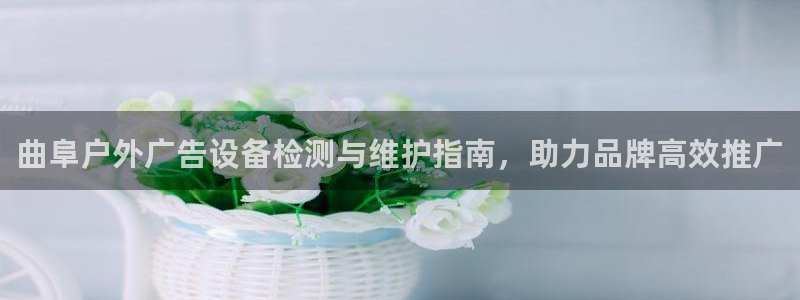 杏宇平台官网注册：曲阜户外广告设备检测与维护指南，助力品牌高效推广