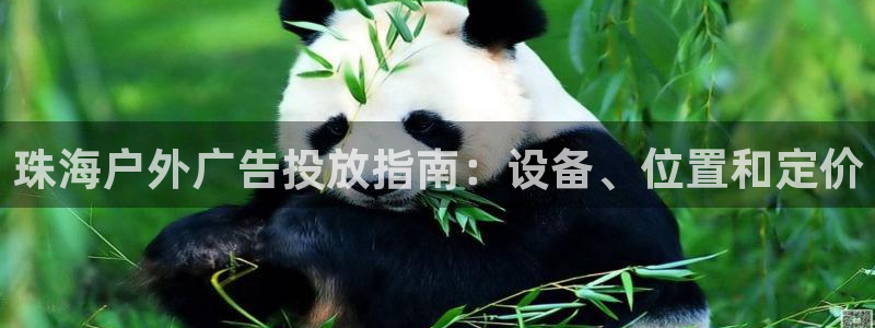 杏宇平台是什么