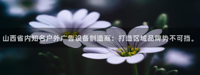 杏宇平台注册登录：山西省内知名户外广告设备制造商：打造区域品牌势不可挡。