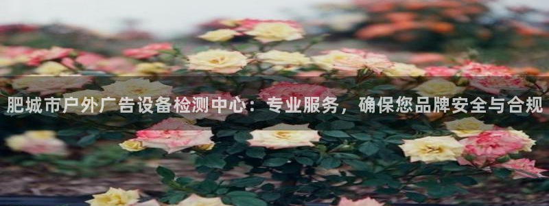 杏宇平台代理怎么赚钱：肥城市户外广告设备检测中心：专业服务，确保您品牌安全与合规
