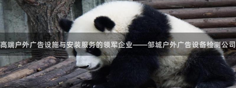 杏宇平台开户：高端户外广告设施与安装服务的领军企业——邹城户外广告设备检测公司