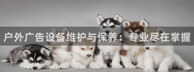 杏宇平台登录步骤是什么：户外广告设备维护与保养：专业尽在掌握