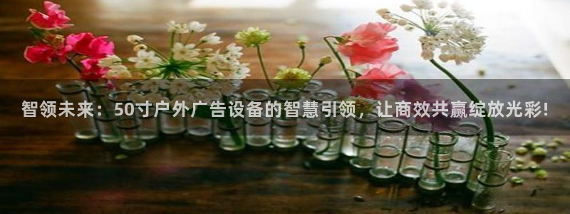 杏宇平台怎么样：智领未来：50寸户外广告设备的智慧引领，让商效共赢绽放光彩!