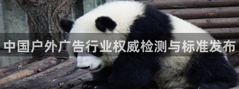 杏宇官方平台官网：中国户外广告行业权威检测与标准发布
