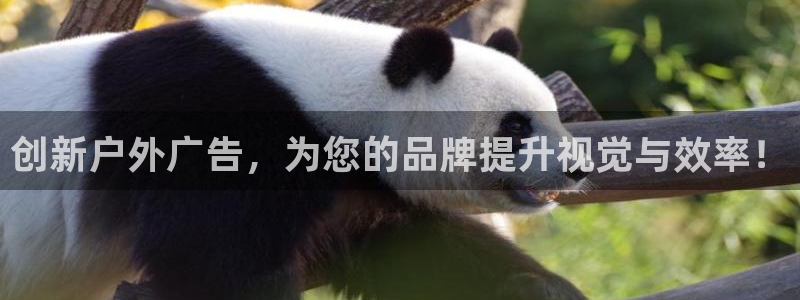 杏宇平台好吗：创新户外广告，为您的品牌提升视觉与效率！