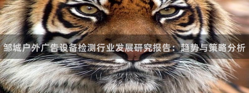 杏宇平台客服：邹城户外广告设备检测行业发展研究报告：趋势与策略分析