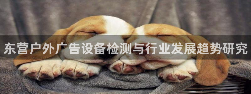 杏宇平台开户：东营户外广告设备检测与行业发展趋势研究