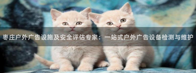杏宇平台代理怎么赚钱：枣庄户外广告设施及安全评估专家：一站式户外广告设备检测与维护