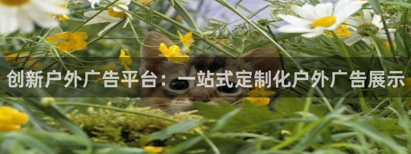 杏宇平台代理多少钱一个月：创新户外广告平台：一站式定制化户外广告展示