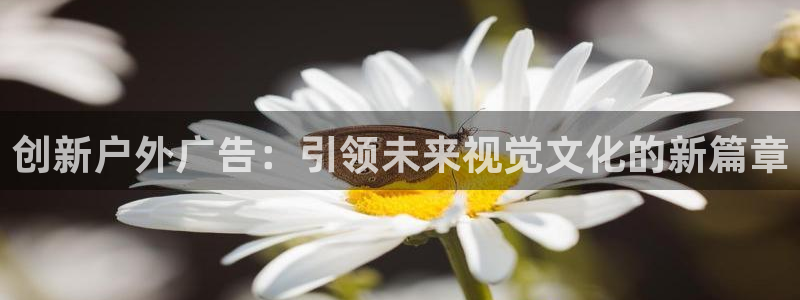 杏宇平台总代理是谁：创新户外广告：引领未