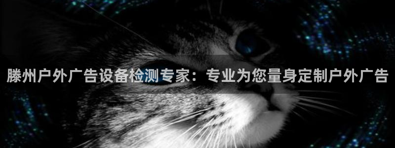 杏宇平台是什么