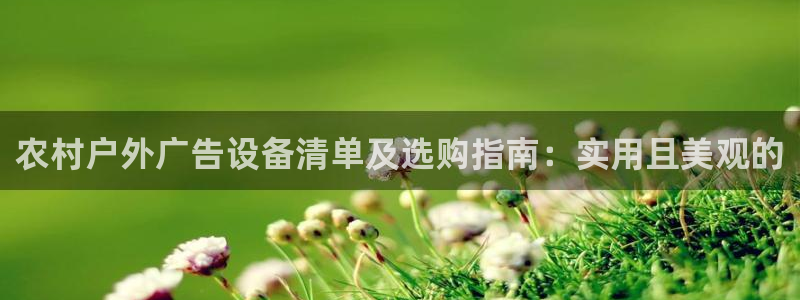 杏宇平台总代理是谁：农村户外广告设备清单及选购指南：实用且美观的