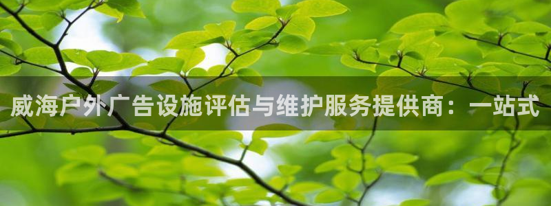 杏宇平台代理怎么样：威海户外广告设施评估与维护服务提供商：一站式
