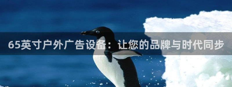 杏宇平台注册登录：65英寸户外广告设备：让您的品牌与时代同步
