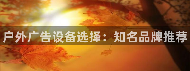 杏宇平台登录方法：户外广告设备选择：知名