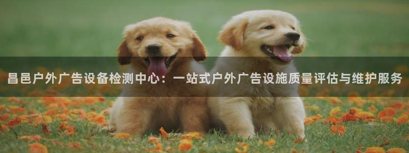 杏宇平台代理：昌邑户外广告设备检测中心：一站式户外广告设施质量评估与维护服务