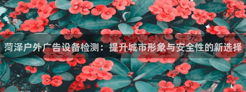 杏宇平台总代理电话：菏泽户外广告设备检测：提升城市形象与安全性的新选择