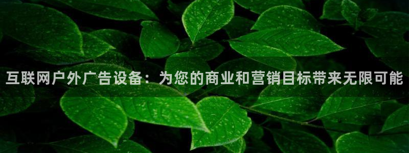 杏宇平台代理怎么样可靠吗：互联网户外广告设备：为您的商业和营销目标带来无限可能