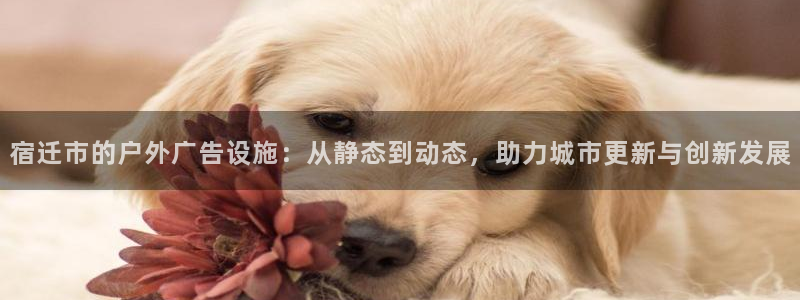 杏宇平台测速链接：宿迁市的户外广告设施：