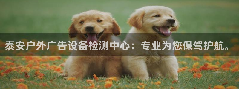 杏宇平台代理怎么样赚钱：泰安户外广告设备