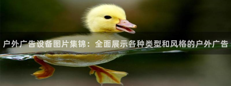 杏宇平台登录步骤图：户外广告设备图片集锦
