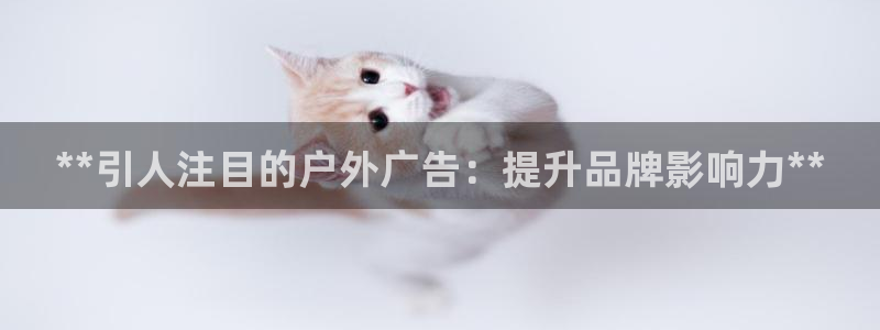杏宇平台代理怎么样
