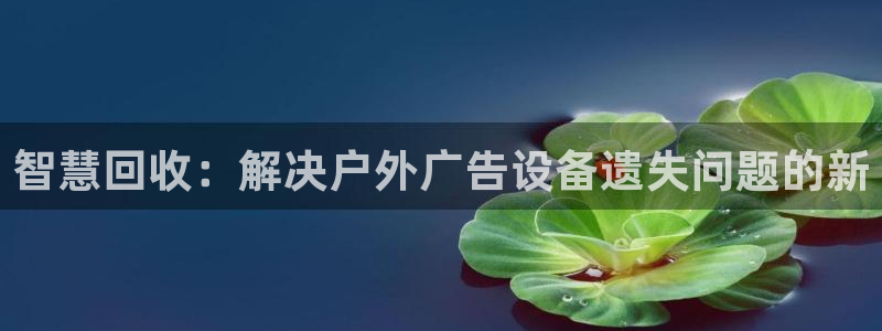杏宇平台代理多少钱一个：智慧回收：解决户