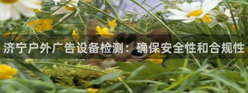 杏宇平台登录方法：济宁户外广告设备检测：确保安全性和合规性