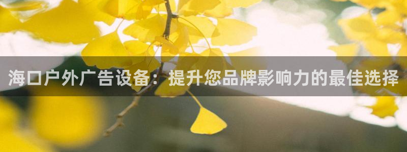 杏宇平台代理怎么赚钱快：海口户外广告设备：提升您品牌影响力的最佳选择