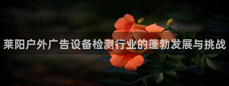 杏宇官方平台官网下载：莱阳户外广告设备检测行业的蓬勃发展与挑战