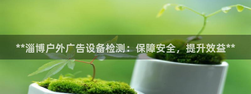 杏宇平台代理怎么样赚钱：**淄博户外广告设备检测：保障安全，提升效益**