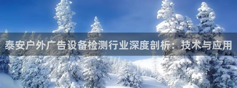 杏宇平台代理怎么赚钱快：泰安户外广告设备检测行业深度剖析：技术与应用