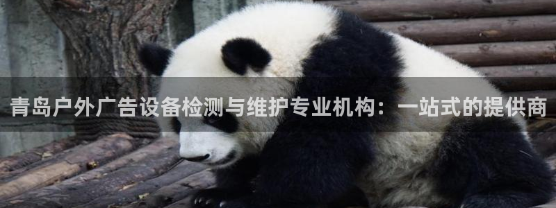 杏宇平台提现为什么这么久呢：青岛户外广告设备检测与维护专业机构：一站式的提供商