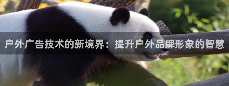 杏宇平台总代理电话：户外广告技术的新境界：提升户外品牌形象的智慧