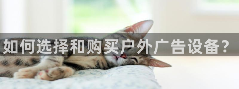 杏宇平台代理怎么样赚钱：如何选择和购买户外广告设备？