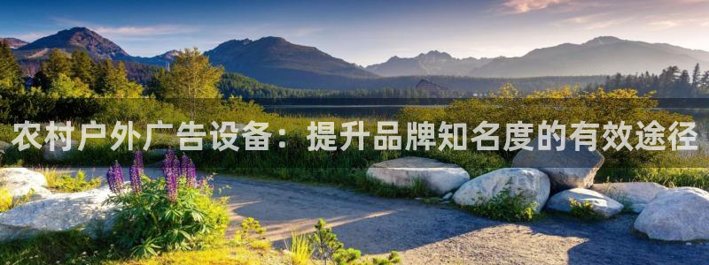 杏宇官方平台官网