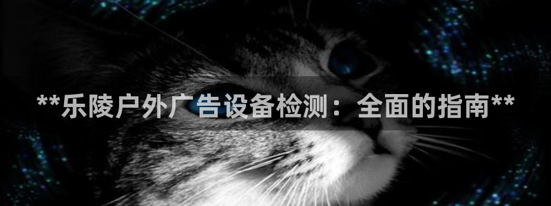杏宇官方平台官网：**乐陵户外广告设备检测：全面的指南**