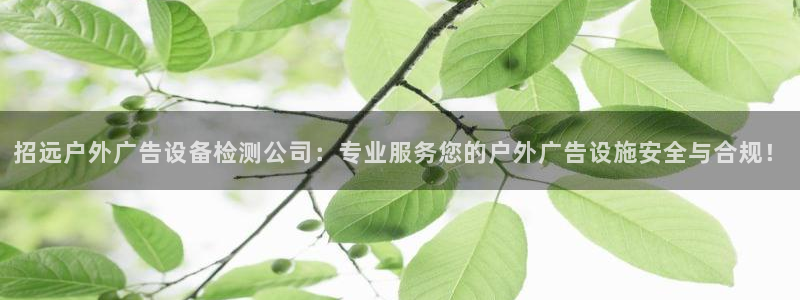 杏宇平台代理多少钱一次：招远户外广告设备检测公司：专业服务您的户外广告设施安全与合规！