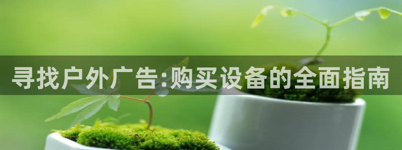 杏宇平台代理多少钱一次：寻找户外广告:购买设备的全面指南