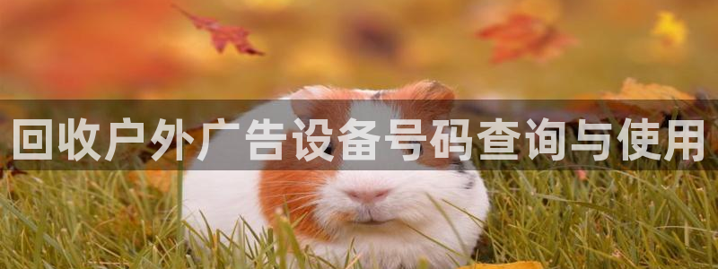 杏宇平台登录步骤：回收户外广告设备号码查询与使用