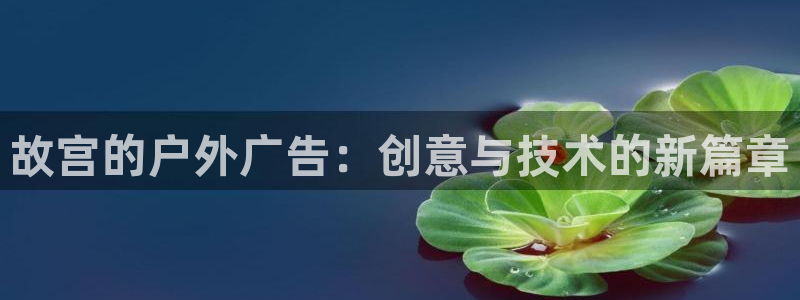 杏宇平台代理怎么赚钱的：故宫的户外广告：