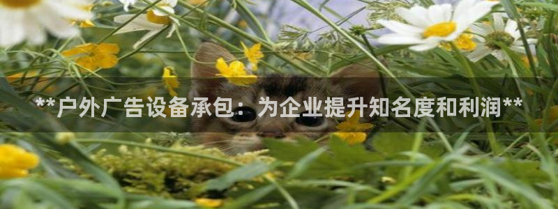 杏宇平台代理
