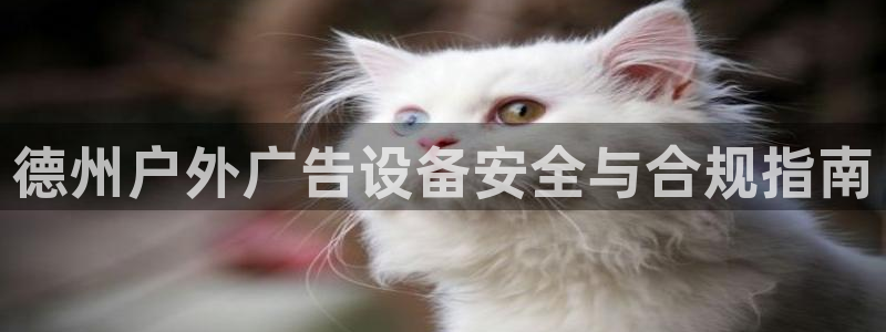 杏宇平台登录方法