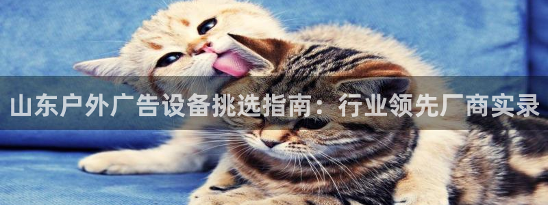 杏宇平台招商怎么样