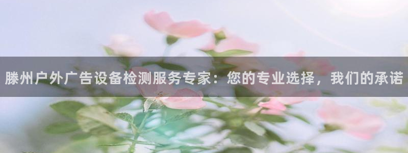 杏宇平台代理怎么样：滕州户外广告设备检测