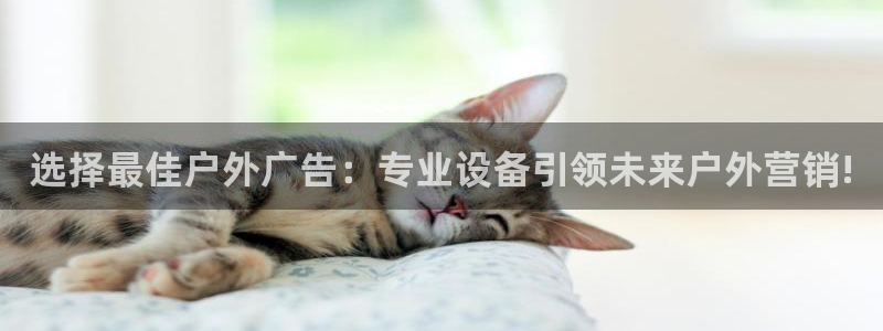 杏宇平台总代理是谁：选择最佳户外广告：专